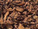 Giá nấm ngọc cẩu khô hiện nay