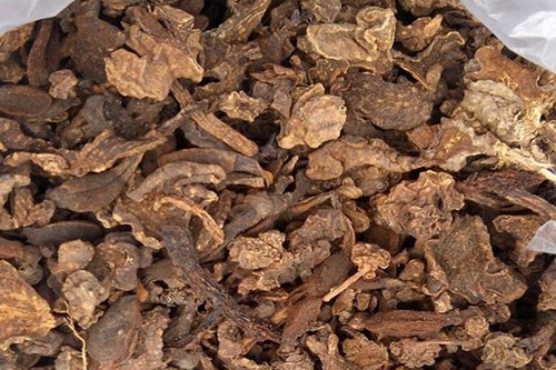 Taomeorungtaybac.com hướng dẫn  cách chọn ngọc cẩu khô chất lượng nhất.
