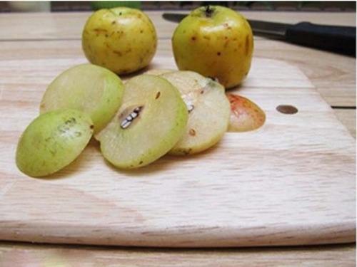 Có thể nếm thử táo để khẳng định chất lượng